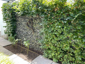 Bild10